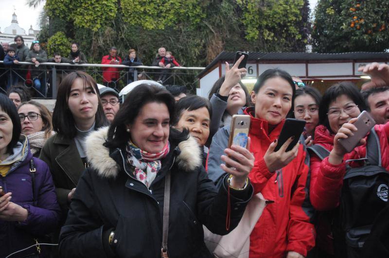 Cientos de personas se han congregado a primera hora en la Plaza de España en el Martes del Carnaval