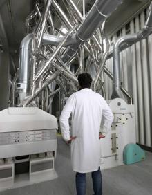 Imagen secundaria 2 - Sémola de maíz extremeña para cerveza y &#039;snacks&#039; de todo el mundo