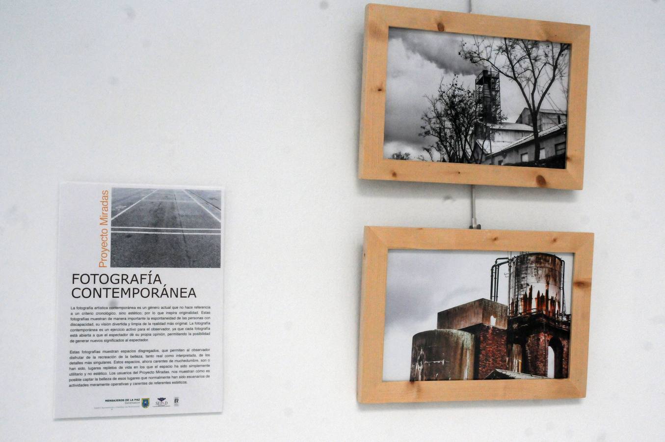 La Asamblea de Extremadura acoge, hasta el 28 de febrero, la exposición 'Proyecto Miradas', que está compuesta por unas 50 fotografías realizadas por personas con discapacidad del Centro Residencial y Familiar de Nuñomoral (Cáceres)