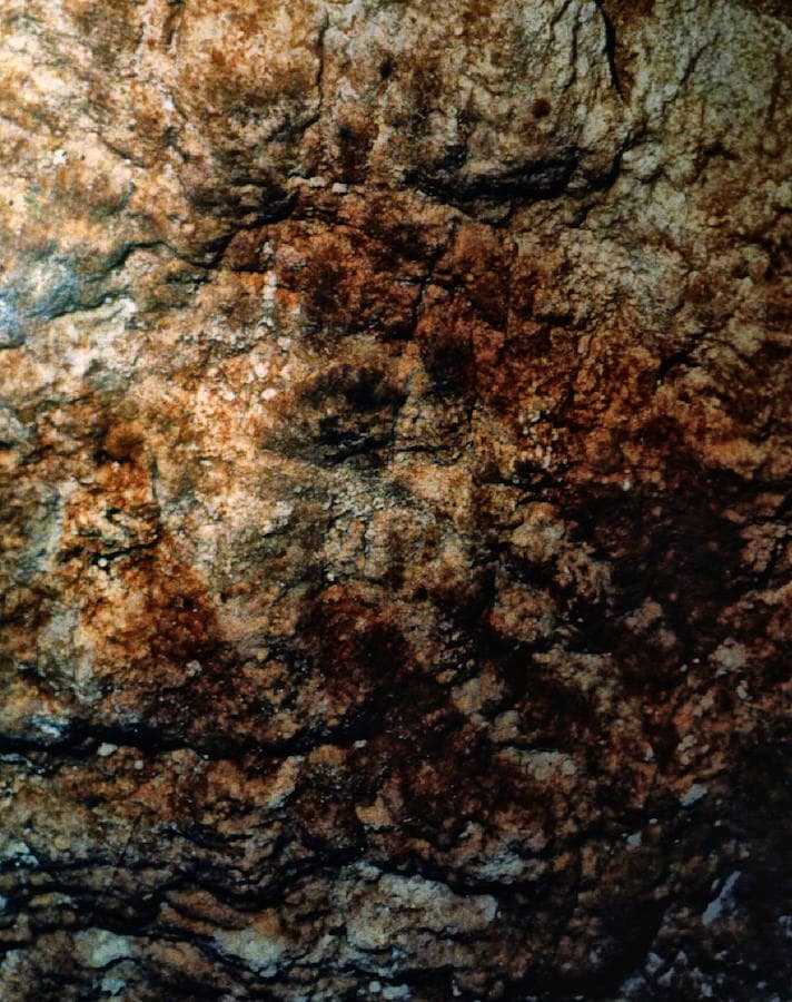 Una investigación internacional fija en 66.700 años la fecha de una de las manos de la cavidad, lo que certifica su origen neandertal.
