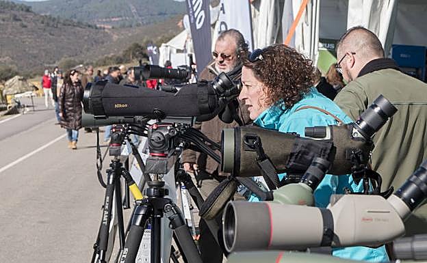 Área dedicada a las empresas que venden material para observar, fotografiar y filmar aves. :: 