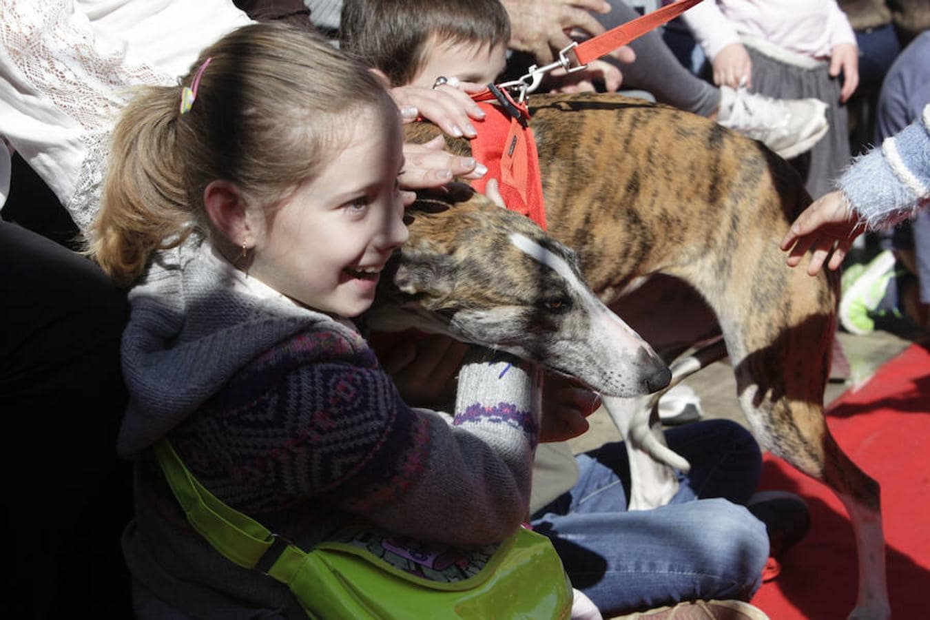 Una veintena de canes del Refugio San Jorge desfilaron junto a modelos voluntarias para recaudar fondos y sensibilizar