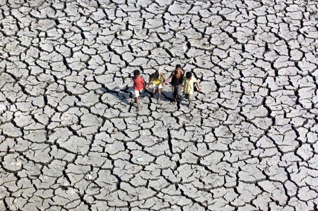 Administración y empresas luchan contra la sequía.