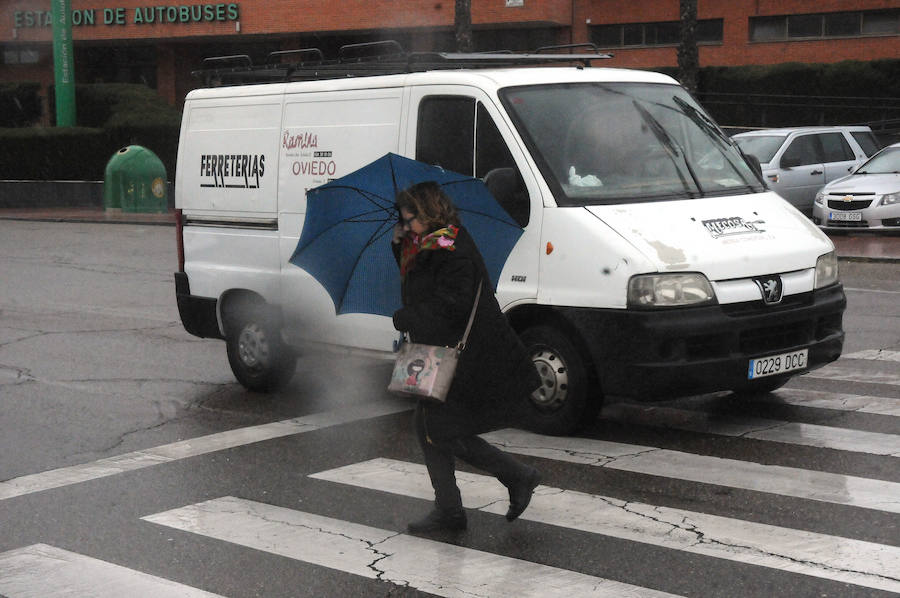 Lluvia en Mérida:: BRÍGIDO