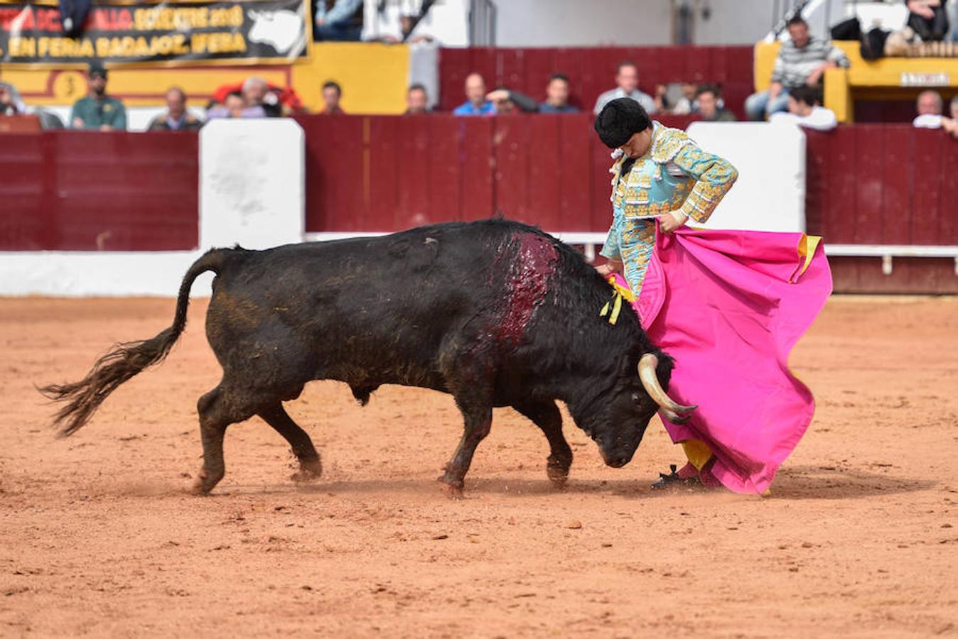 Espectáculo matinal del domingo.