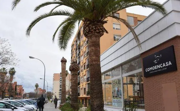 Palmeras invadidas por el picudo rojo en la avenida de Colón. 