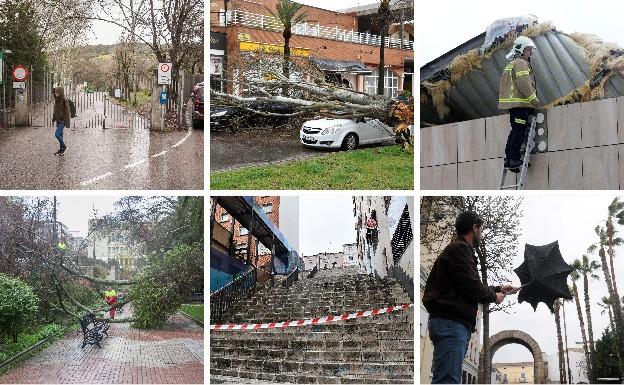 La borrasca tira árboles y tejados y deja un herido en la región