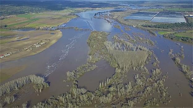 Vista aérea de las fincas anegadas por el desbordamiento. :: p. d. c.