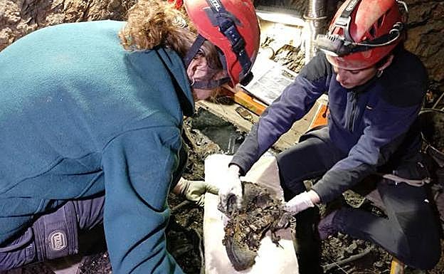 Restos óseos de represaliados republicanos hallados en Valencia de Alcántara