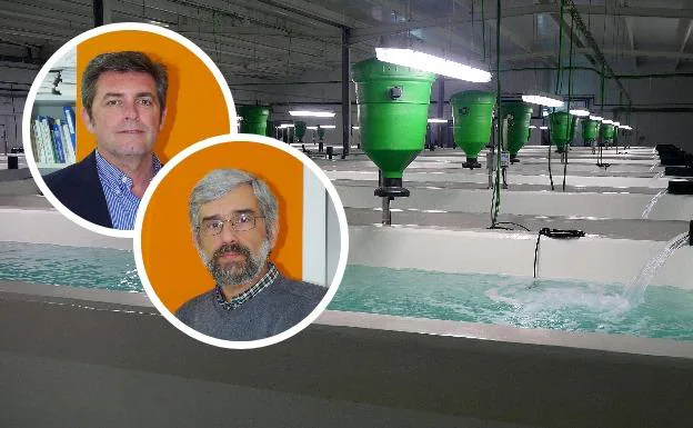 Instalación de Innovaqua en una piscifactoría. Izquierda, los socios: Diego García (foto superior) y José María Rodríguez