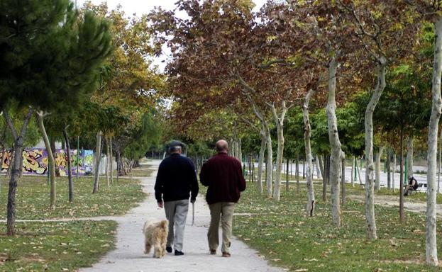 Dos jubilados pasean por un parque