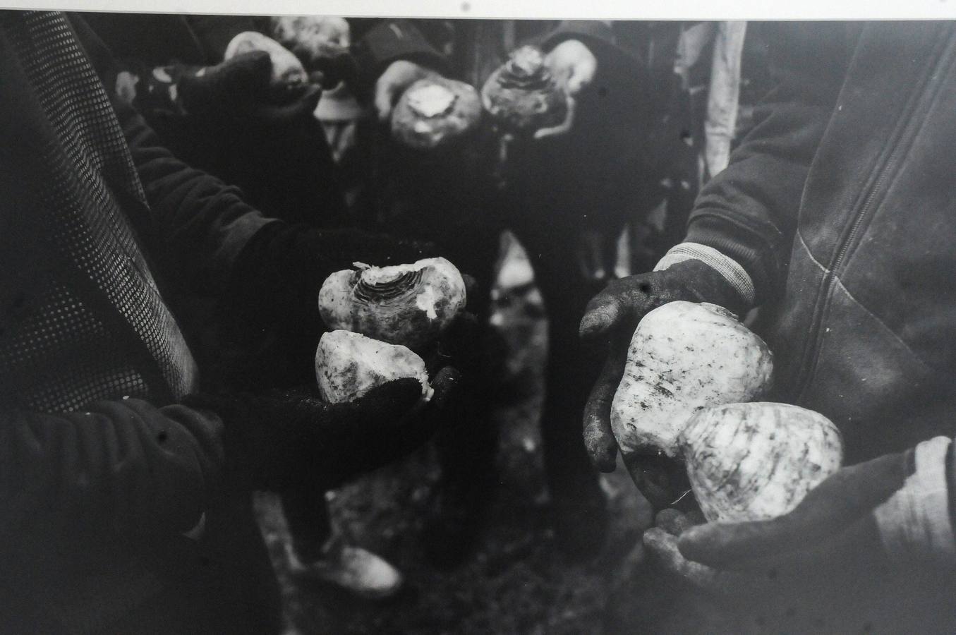 El fotógrafo expone una serie de fotografías que podrán verse durante este mes de abril en el Patio Noble de la Asamblea de Extremadura, en Mérida