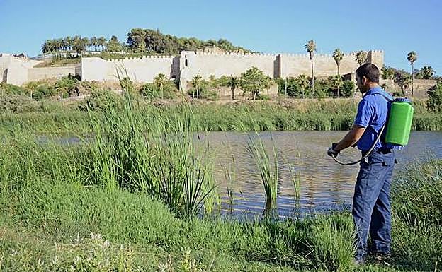 Menos venta de fertilizantes en Extremadura