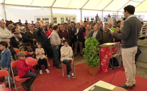 La Diputación de Badajoz subastará 42 corderos en la Feria del Ganado de La Zarza