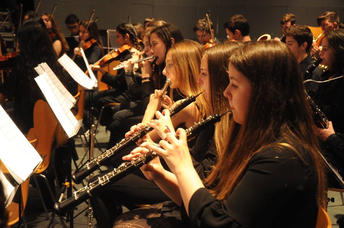 El programa vincula la sala de conciertos y la orquesta sinfónica con el aula de música de primaria, con el fin de explorar el repertorio orquestal, los fundamentos técnicos de la música así como el trabajo creativo y la composición, abordando el plan de estudios musical de manera práctica. Los estudiantes que participan en el programa Link Up (de 8 a 11 años de edad) asisten al final a un concierto participativo donde cantan, bailan y tocan la flauta dulce e instrumentos sinfónicos con la orquesta desde sus propios asientos.