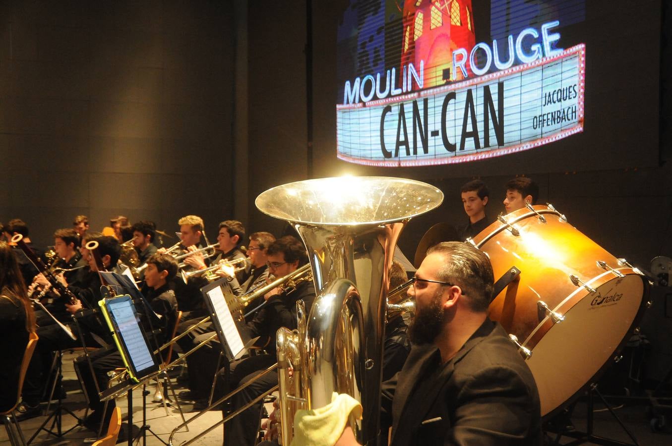 El programa vincula la sala de conciertos y la orquesta sinfónica con el aula de música de primaria, con el fin de explorar el repertorio orquestal, los fundamentos técnicos de la música así como el trabajo creativo y la composición, abordando el plan de estudios musical de manera práctica. Los estudiantes que participan en el programa Link Up (de 8 a 11 años de edad) asisten al final a un concierto participativo donde cantan, bailan y tocan la flauta dulce e instrumentos sinfónicos con la orquesta desde sus propios asientos.