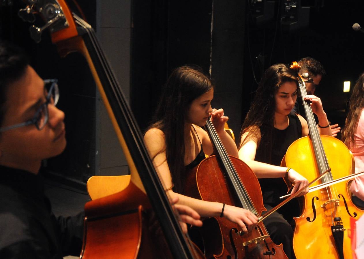 El programa vincula la sala de conciertos y la orquesta sinfónica con el aula de música de primaria, con el fin de explorar el repertorio orquestal, los fundamentos técnicos de la música así como el trabajo creativo y la composición, abordando el plan de estudios musical de manera práctica. Los estudiantes que participan en el programa Link Up (de 8 a 11 años de edad) asisten al final a un concierto participativo donde cantan, bailan y tocan la flauta dulce e instrumentos sinfónicos con la orquesta desde sus propios asientos.