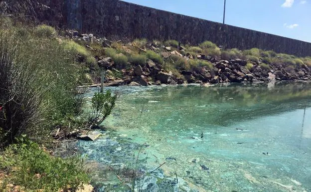 El pantano de Los Molinos muestra una capa verdosa a causa de un alga. ::JUAN AGUILAR