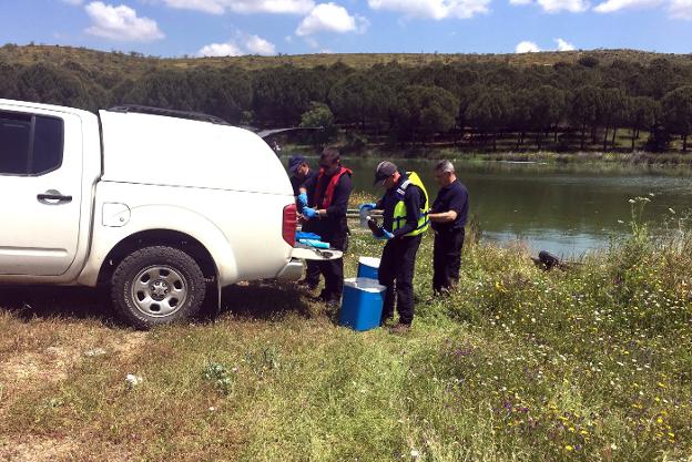 Téncnicos de la CHG toman muestras del agua en Los Molinos. :: j. a.