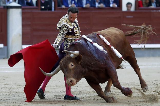 El diestro Antonio Ferrera, con su segundo toro 'Rescoldito'. :: efe