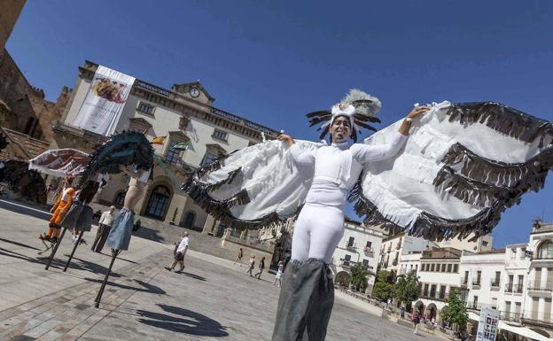 Imagen del Festival de las Aves de Cáceres:. HOY