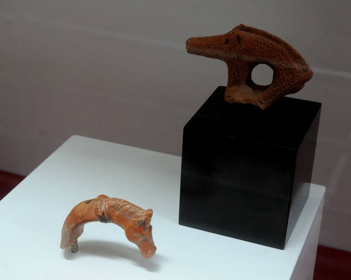 El Museo Nacional de Arte Romano de Mérida ofrecerá la exposición temporal 'Animalia Inter Emeritenses'