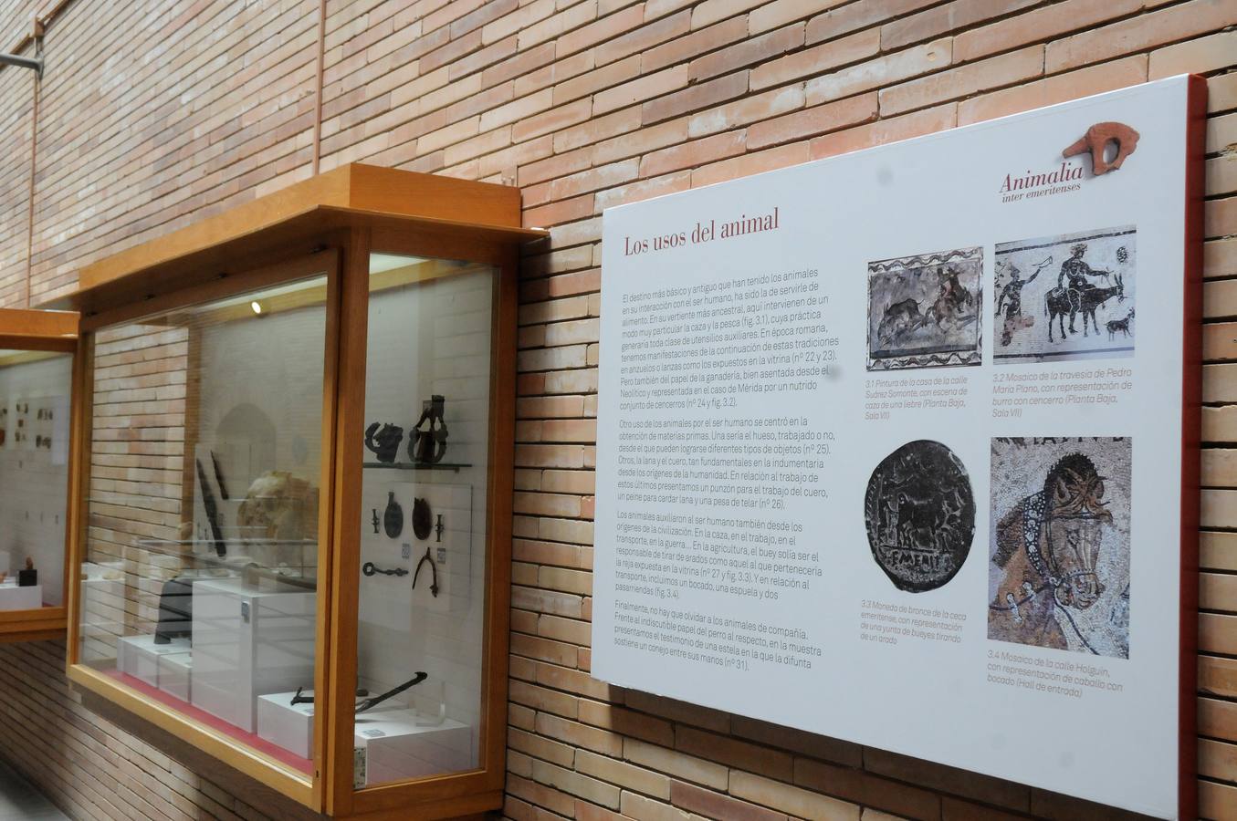 El Museo Nacional de Arte Romano de Mérida ofrecerá la exposición temporal 'Animalia Inter Emeritenses'