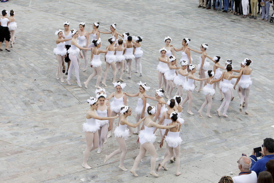 Fotos: Clausura del X Festival de las Aves de Cáceres