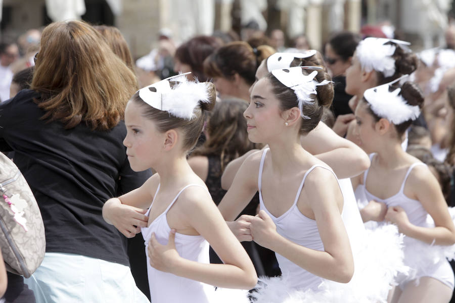 Fotos: Clausura del X Festival de las Aves de Cáceres