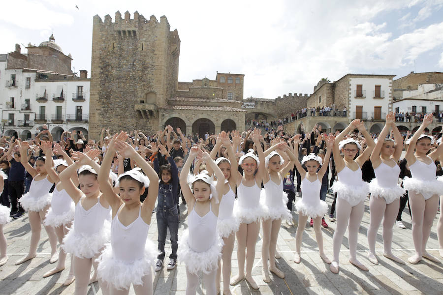 Fotos: Clausura del X Festival de las Aves de Cáceres