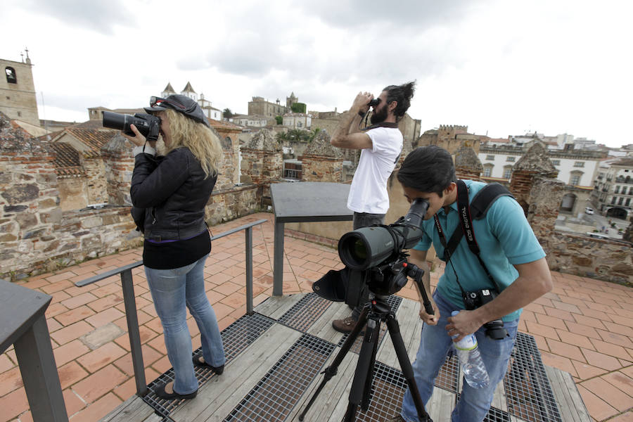 Fotos: Clausura del X Festival de las Aves de Cáceres