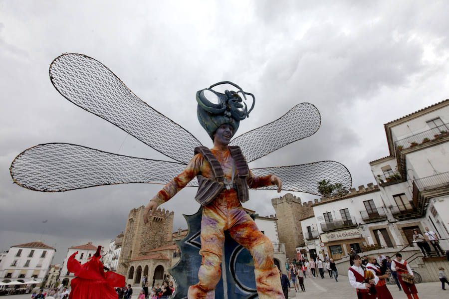 Fotos: Clausura del X Festival de las Aves de Cáceres