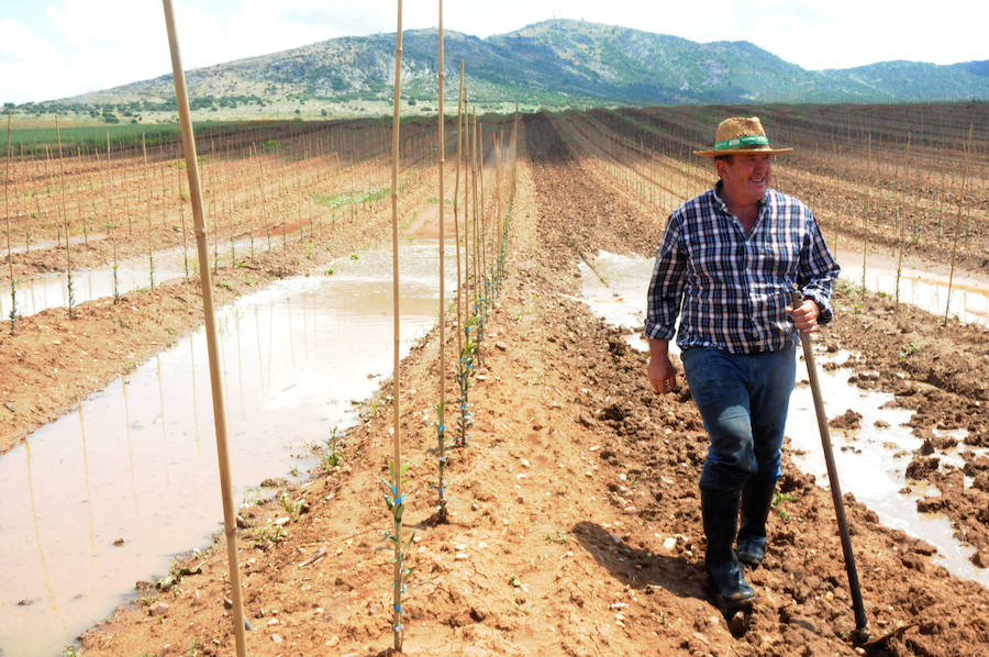 Daños en Arroyo de San Serván.