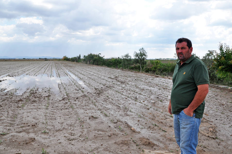 Daños en Santa Amalia.