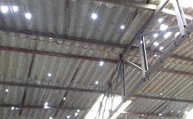 Imagen. Tamaño de los granizos caídos en Garciaz ha provocado numerosos daños