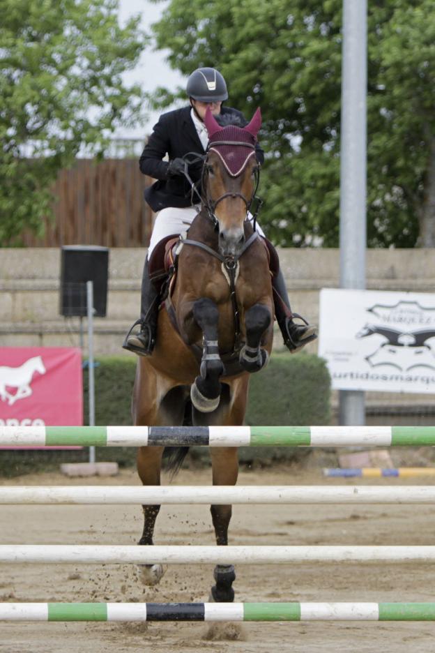 Un participante del concurso hípico de Cáceres de 2016. :: HOY