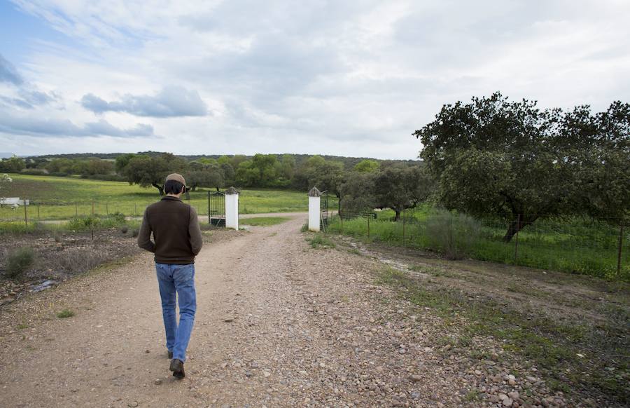 El maestro Miguel Ángel Perera en su finac 'Los Cansaos', cercana al lago de Alqueva. 