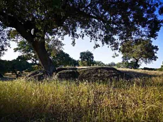 La Junta otorga la declaración como zona arqueológica al enclave situado entre Alcántara y Piedras Albas
