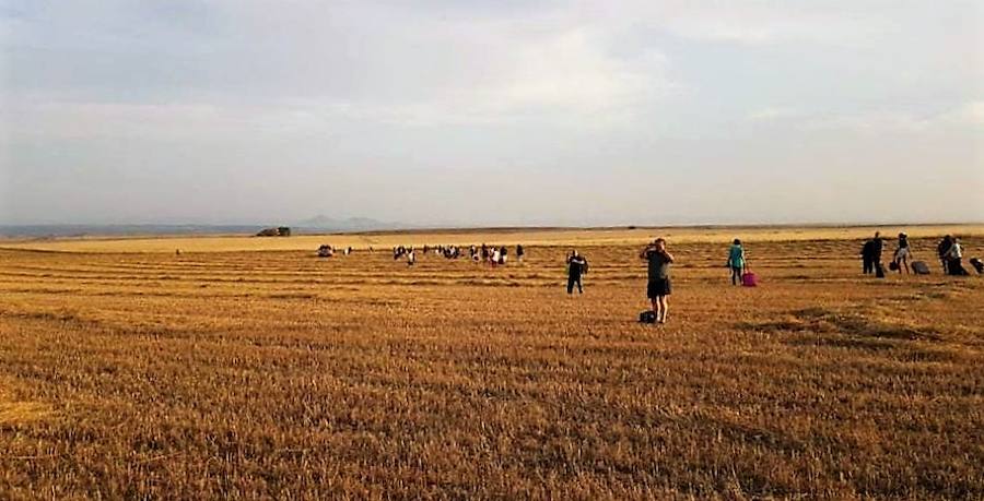 La fotografía, tomada el pasado 23 de junio, de los pasajeros del tren de Extremadura a Madrid que se incendió, caminando por un erial con las maletas. 