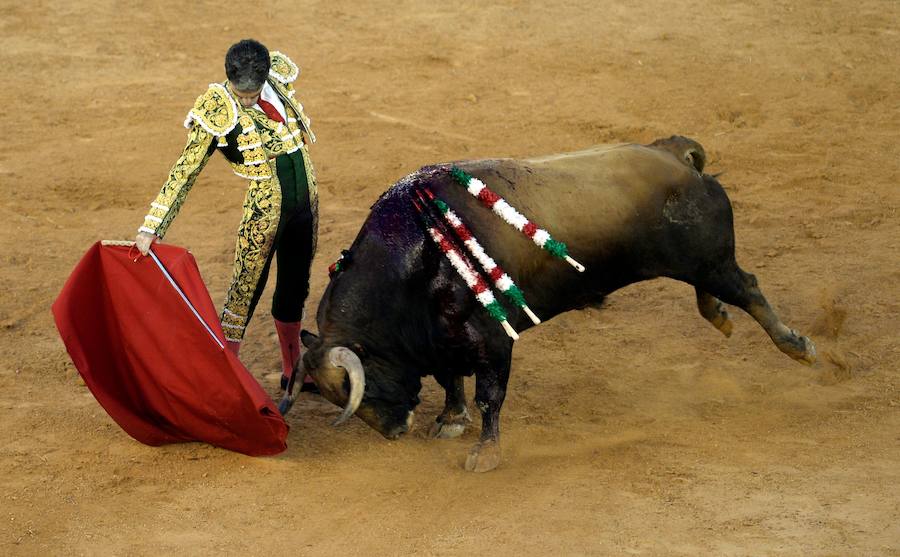 Dos faenas bellísimas del torero de Galapagar, exquisito con el capote, y tarde desatada de Miguel Ángel, que provoca el indulto de un nobilísimo toro de Jnadilla en Algeciras