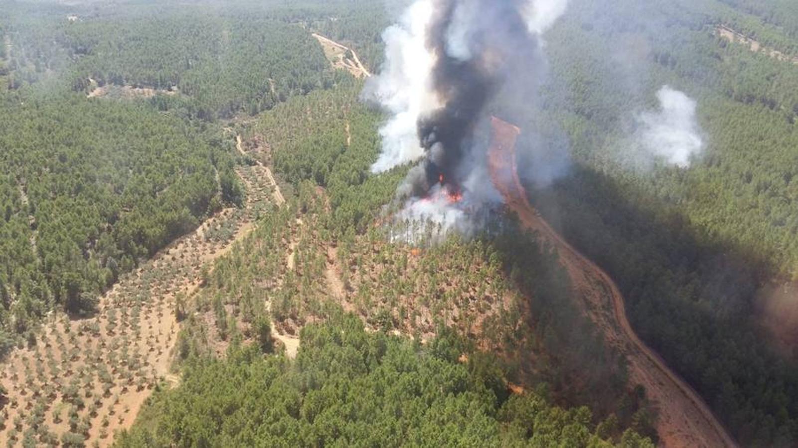 Fotos: Imágenes del incendio originado en una zona de pinar en Valverde del Fresno