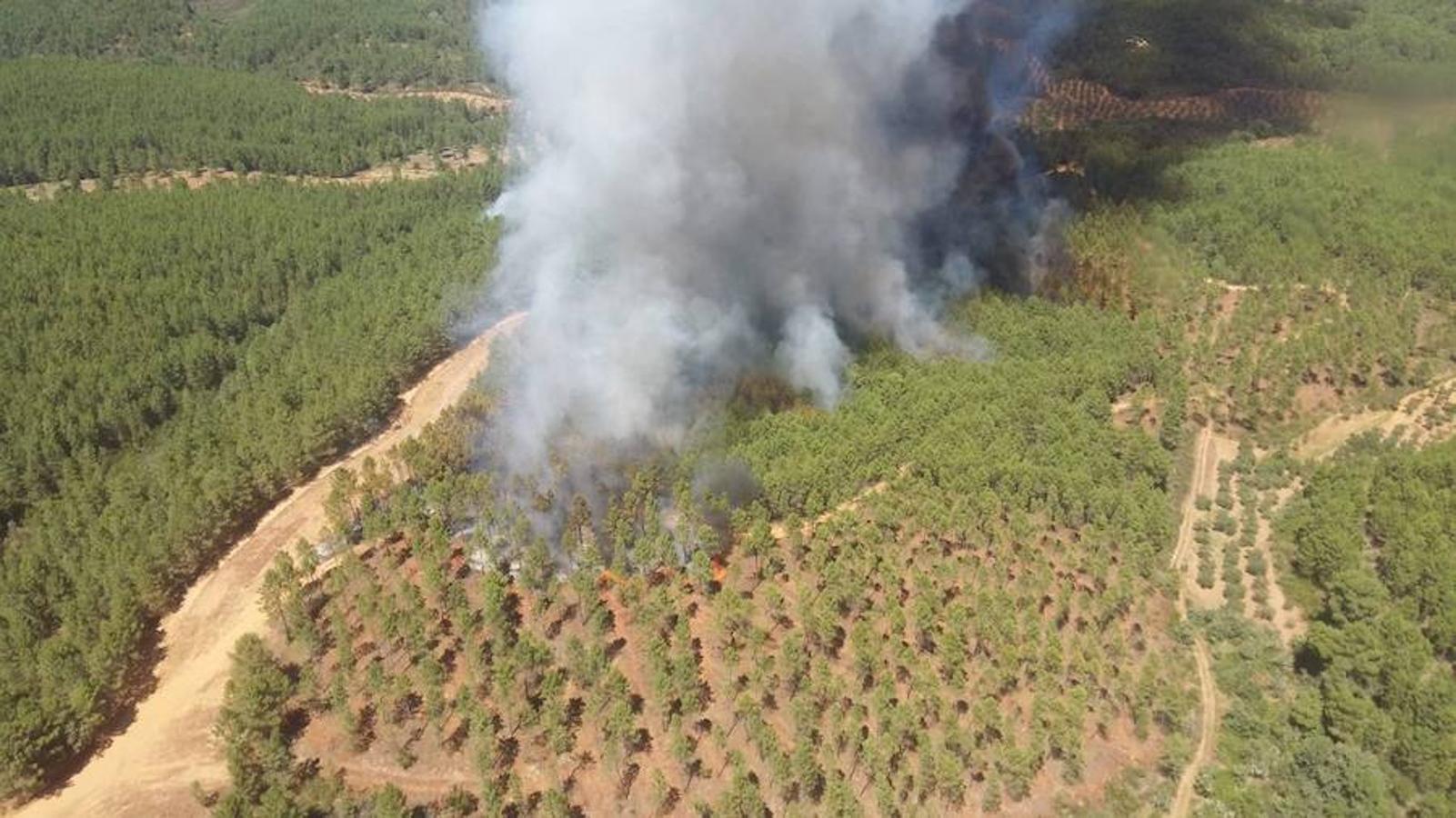 Fotos: Imágenes del incendio originado en una zona de pinar en Valverde del Fresno