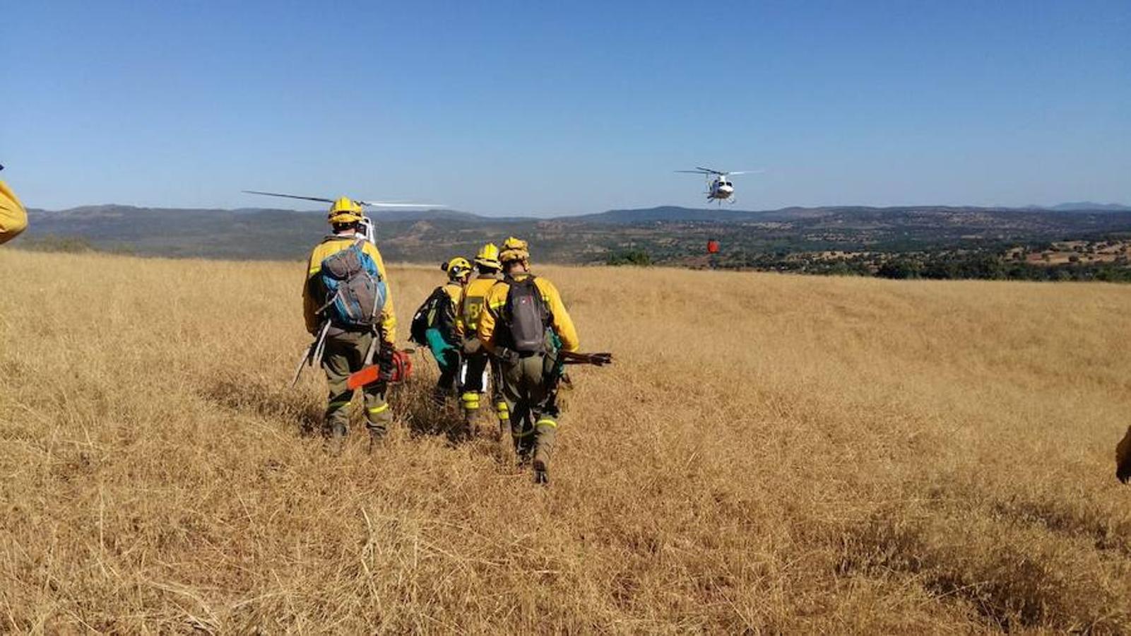 Fotos: Imágenes del incendio originado en una zona de pinar en Valverde del Fresno