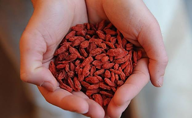 Bayas tibetanos de Goji.