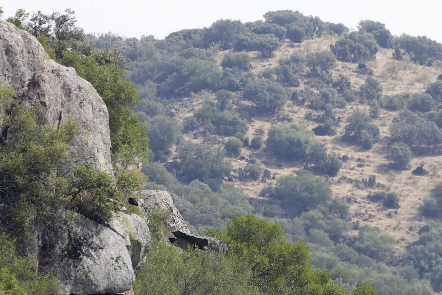 El nuevo tramo navegable permite mirar el Salto del Gitano desde una perspectiva hasta ahora inédita
