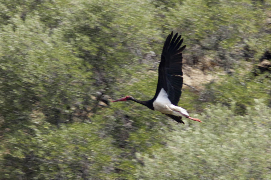 El nuevo tramo navegable permite mirar el Salto del Gitano desde una perspectiva hasta ahora inédita