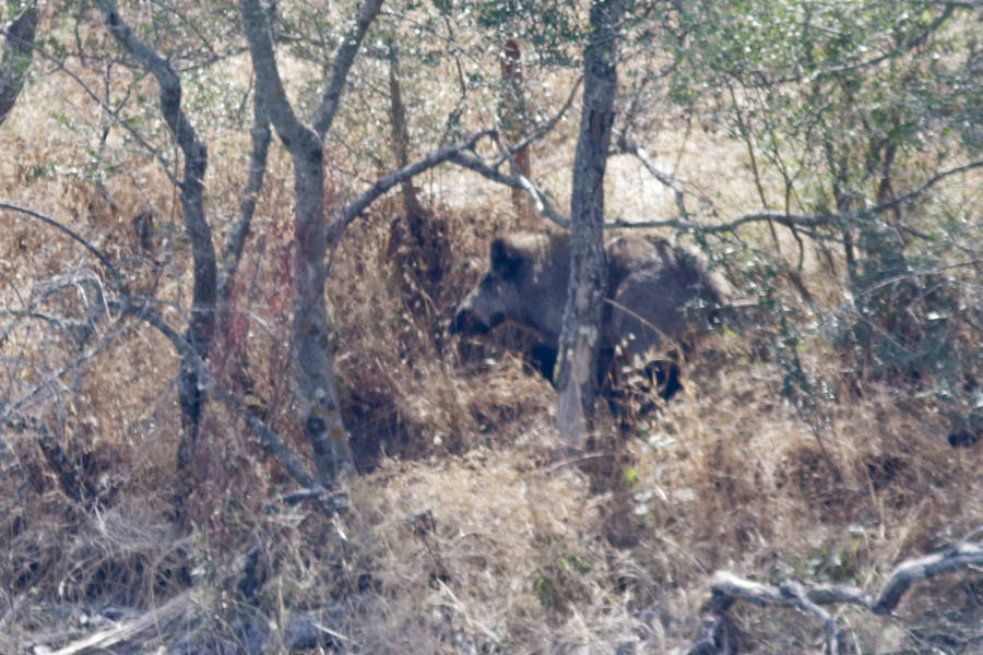 El nuevo tramo navegable permite mirar el Salto del Gitano desde una perspectiva hasta ahora inédita