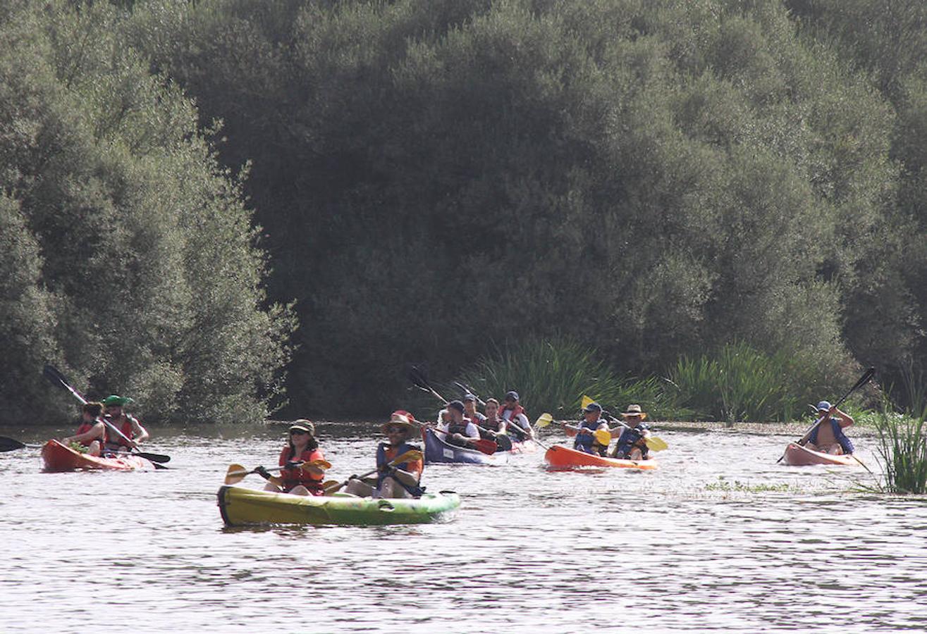 Recorrieron casi 19 kilómetros  entre el puente de la Macarrona de Riolobos y el de Hierro de Coria