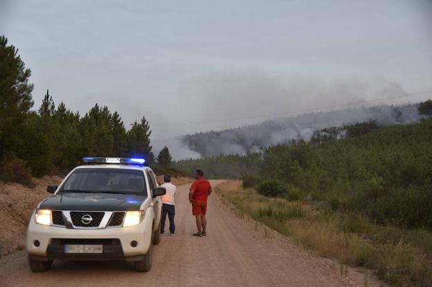 Los pinares del valle de Jola son el combustible perfecto para los incendios veraniegos