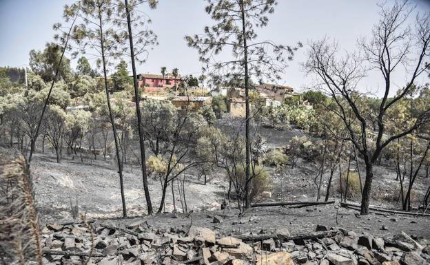 Las llamas rodearon por completo las casas de El Mayadil